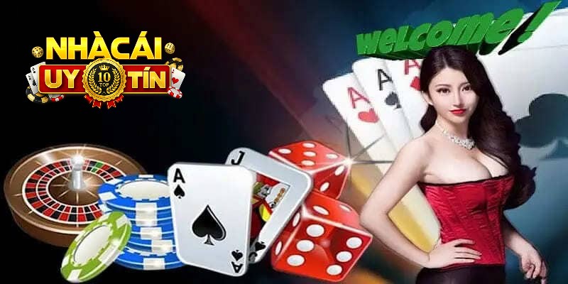 Tổng hợp nhà cái cá cược uy tín nhất